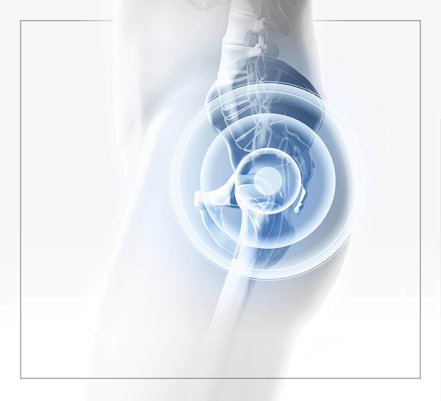 Hip, Leg & Pelvis Pain