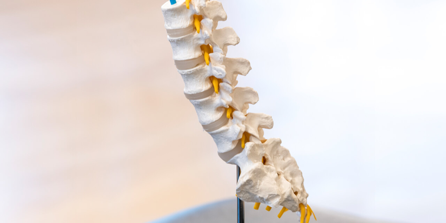 What's a Facet Joint Injection and How Can It Provide Pain Relief?